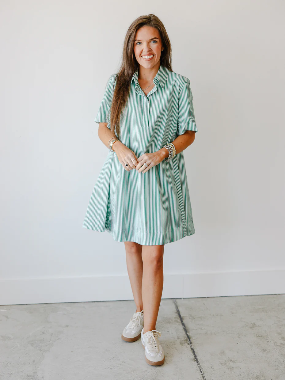 Elora Stripe Collared Swing Mini Dress - Image 9