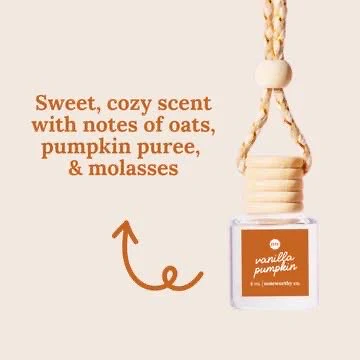 Noteworthy Co Car Diffusers - Image 13