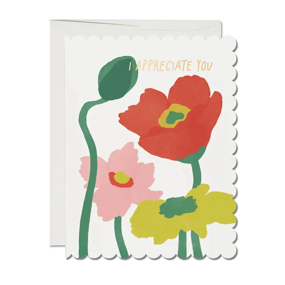 Red Cap Card Greeting Cards - Image 11