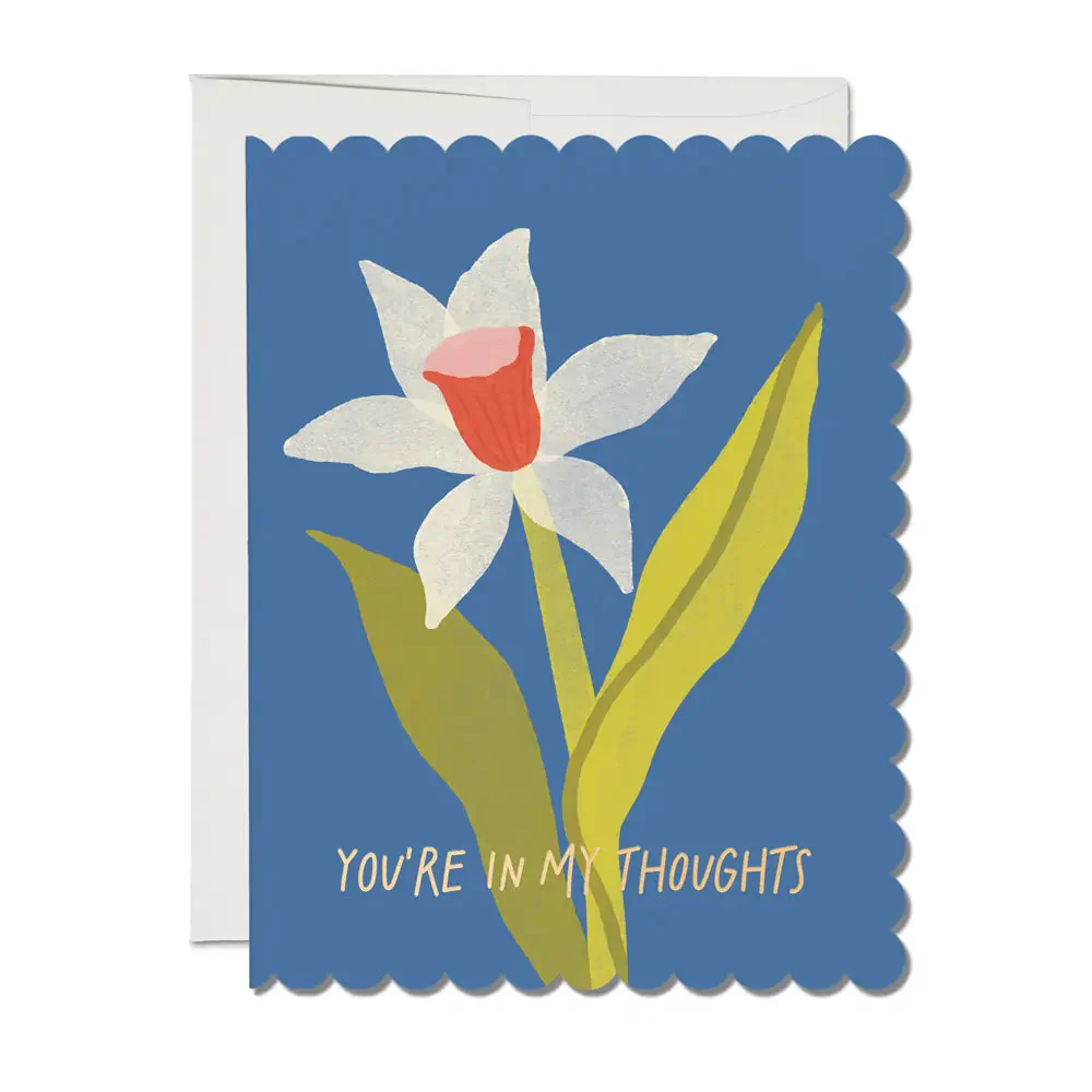 Red Cap Card Greeting Cards - Image 15
